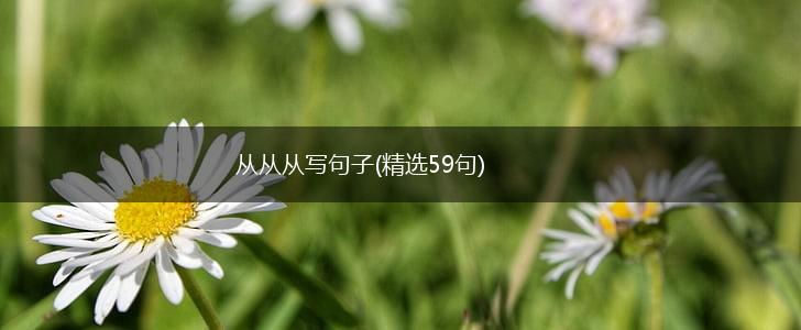 从从从写句子(精选59句),第1张