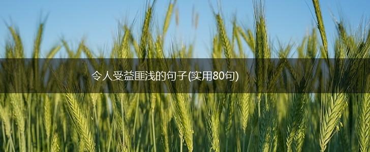令人受益匪浅的句子(实用80句),第1张