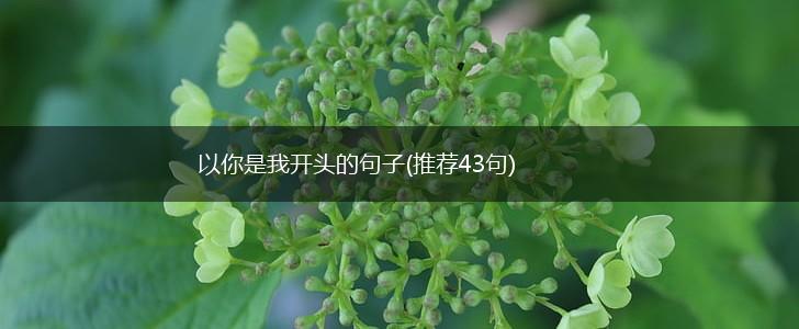 以你是我开头的句子(推荐43句),第1张
