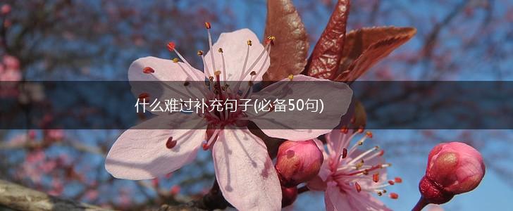 什么难过补充句子(必备50句),第1张
