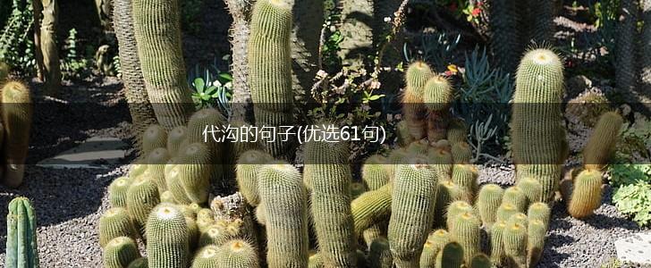 代沟的句子(优选61句),第1张
