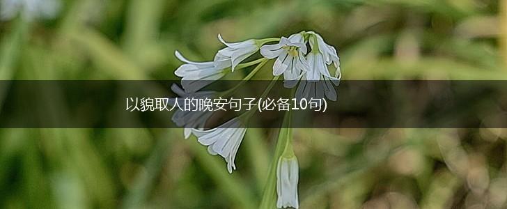 以貌取人的晚安句子(必备10句),第1张