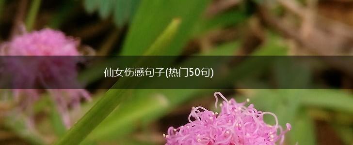 仙女伤感句子(热门50句),第1张