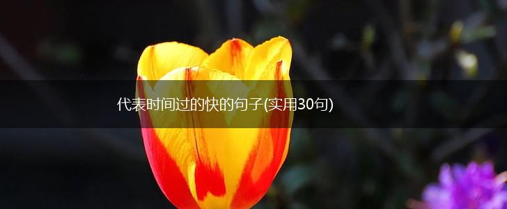 代表时间过的快的句子(实用30句),第1张