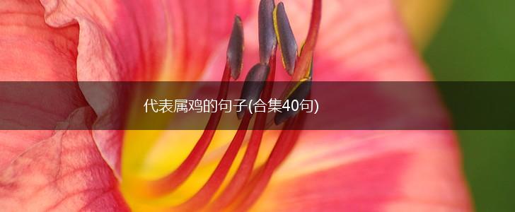 代表属鸡的句子(合集40句),第1张