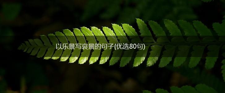 以乐景写哀景的句子(优选80句),第1张