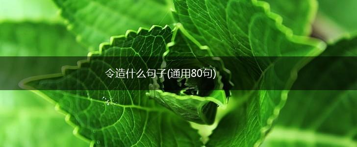 令造什么句子(通用80句),第1张