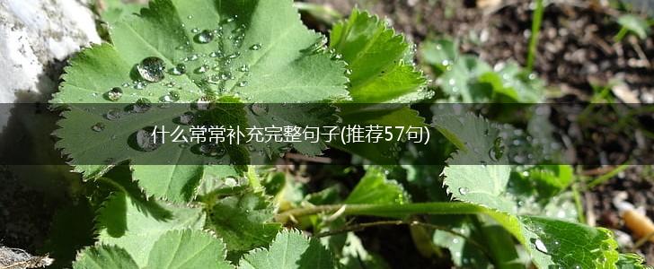 什么常常补充完整句子(推荐57句),第1张