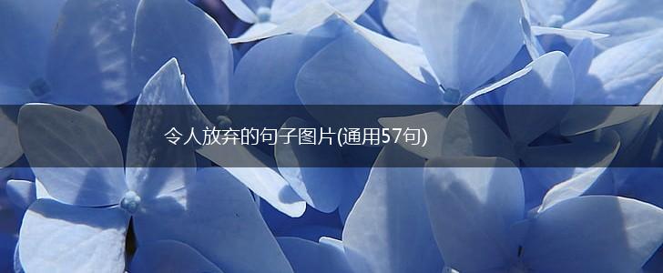 令人放弃的句子图片(通用57句),第1张
