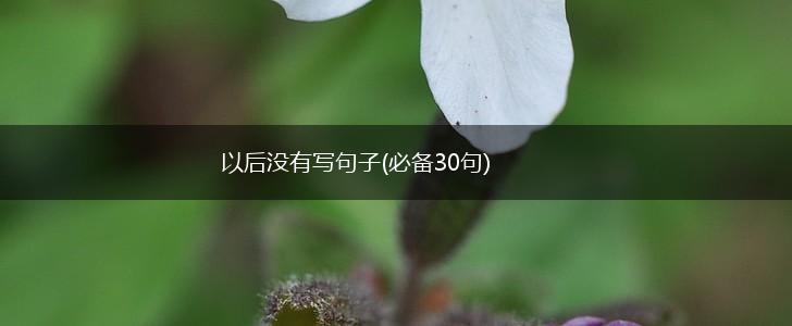 以后没有写句子(必备30句),第1张