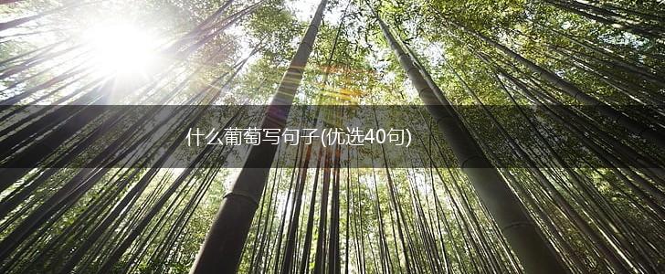 什么葡萄写句子(优选40句),第1张