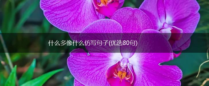 什么多像什么仿写句子(优选80句),第1张