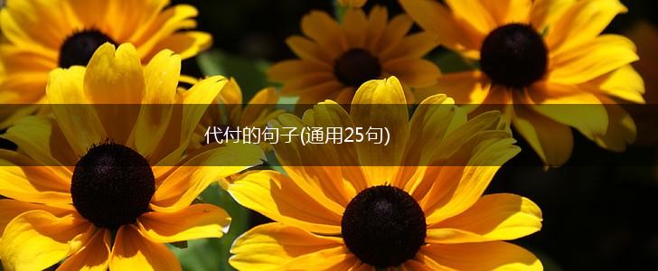 代付的句子(通用25句),第1张