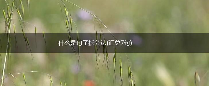 什么是句子拆分法(汇总7句),第1张