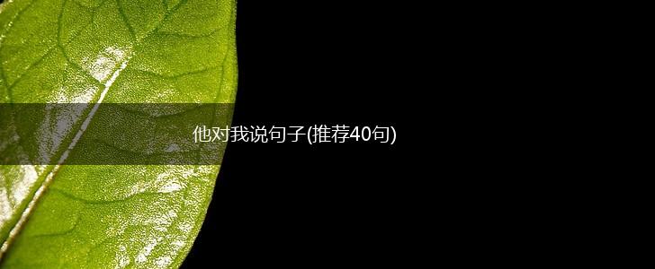 他对我说句子(推荐40句),第1张