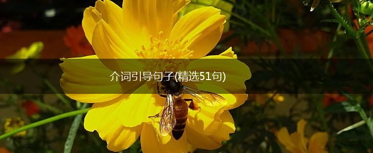 介词引导句子(精选51句),第1张