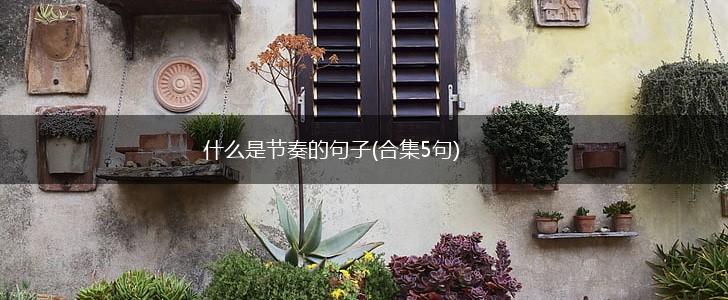 什么是节奏的句子(合集5句),第1张