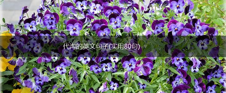 代沟的英文句子(实用80句),第1张