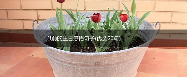 以前的生日感悟句子(优选20句),第1张