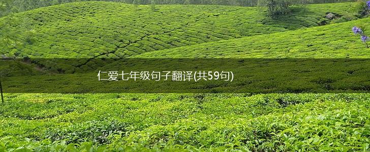 仁爱七年级句子翻译(共59句),第1张