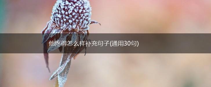 他疼得怎么样补充句子(通用30句),第1张