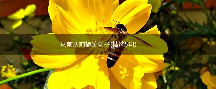 从前从前搞笑句子(精选5句),第1张