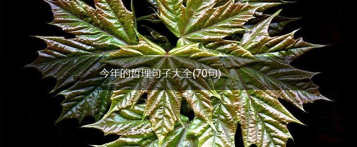 今年的哲理句子大全(70句),第1张