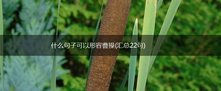 什么句子可以形容曹操(汇总22句),第1张