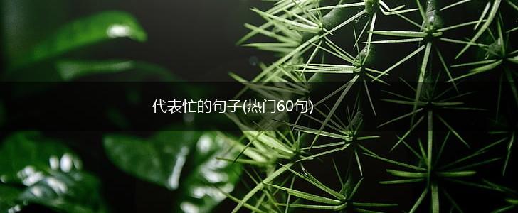 代表忙的句子(热门60句),第1张