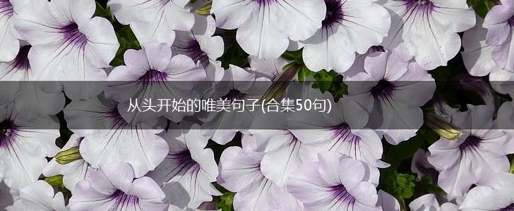 从头开始的唯美句子(合集50句),第1张