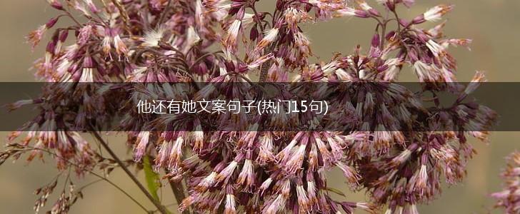 他还有她文案句子(热门15句),第1张