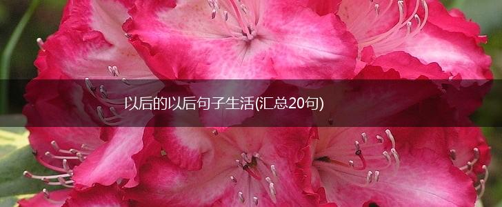 以后的以后句子生活(汇总20句),第1张