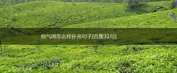 他气得怎么样补充句子(合集31句),第1张