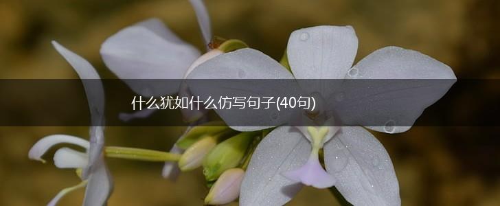 什么犹如什么仿写句子(40句),第1张