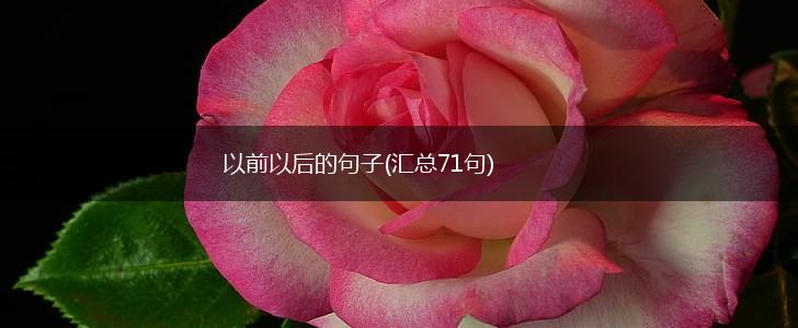 以前以后的句子(汇总71句),第1张