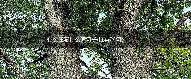 什么注意什么造句子(推荐24句),第1张