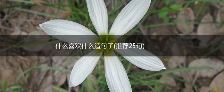 什么喜欢什么造句子(推荐25句),第1张