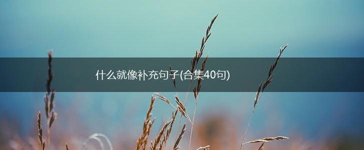 什么就像补充句子(合集40句),第1张