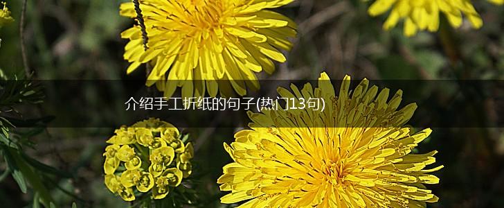 介绍手工折纸的句子(热门13句),第1张