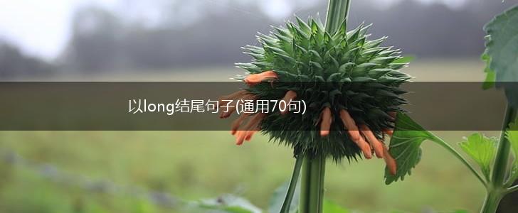 以long结尾句子(通用70句),第1张
