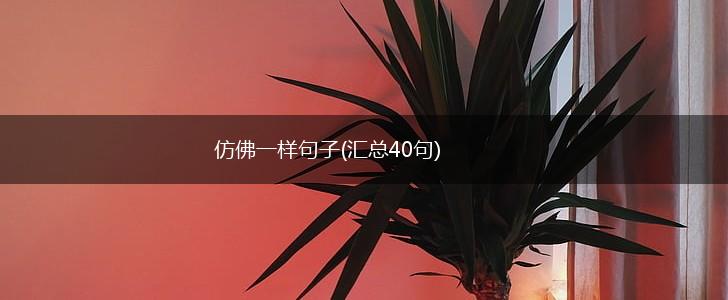 仿佛一样句子(汇总40句),第1张