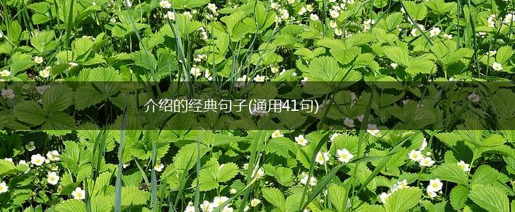 介绍的经典句子(通用41句),第1张