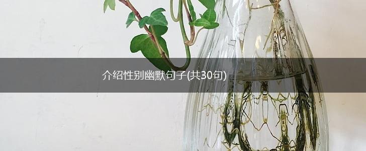 介绍性别幽默句子(共30句),第1张