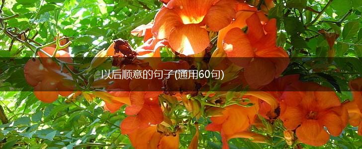 以后顺意的句子(通用60句),第1张