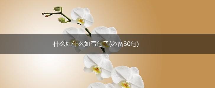 什么如什么如写句子(必备30句),第1张