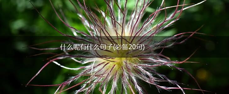 什么呢有什么句子(必备20句),第1张