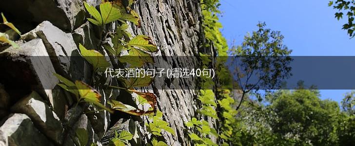 代表酒的句子(精选40句),第1张