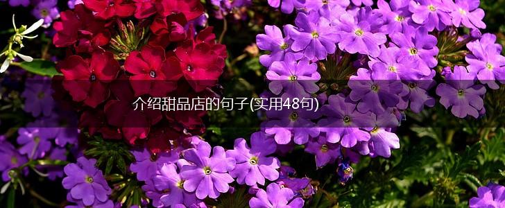 介绍甜品店的句子(实用48句),第1张
