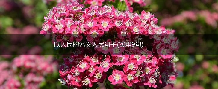 以人民的名义人民句子(实用9句),第1张