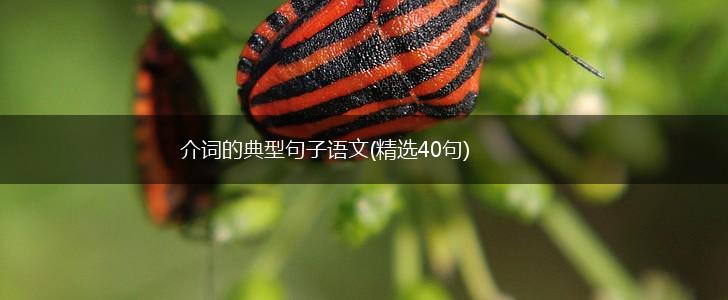 介词的典型句子语文(精选40句),第1张